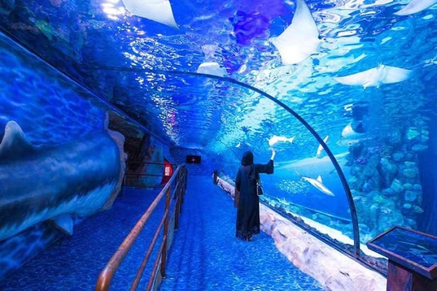 Aquarium Dubai Mall