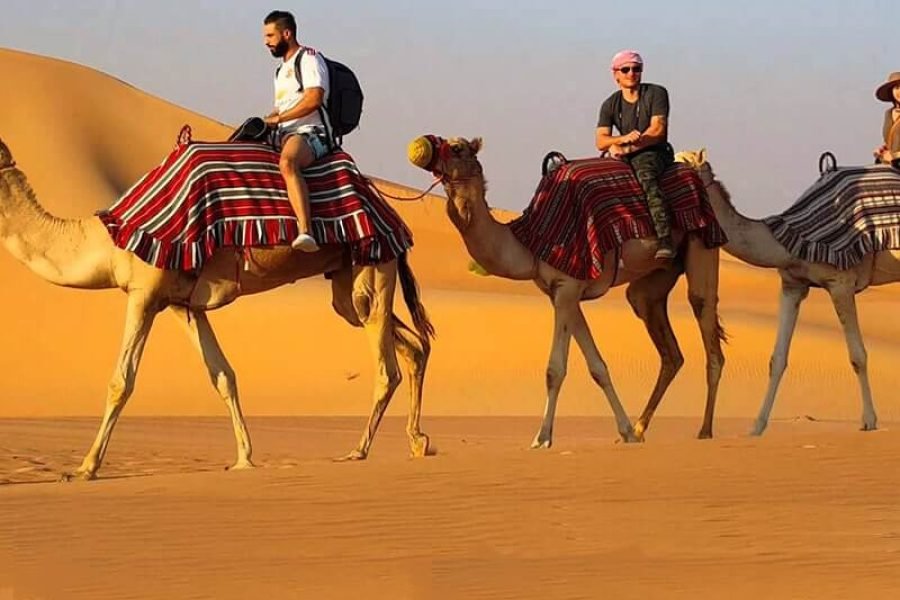 Dubai Camel Riding Tours