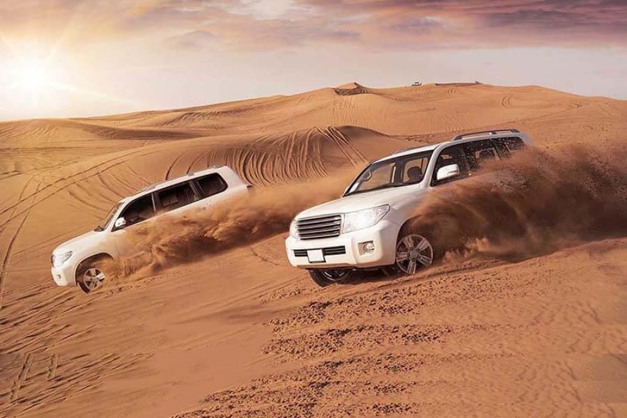 Private Desert Safari Tour in Dubai