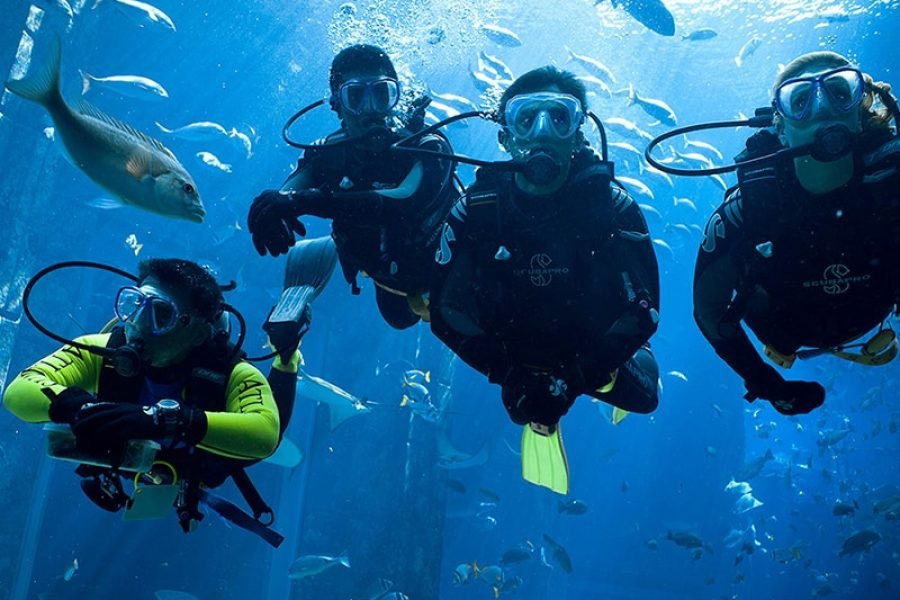 Scuba Diving in Dubai