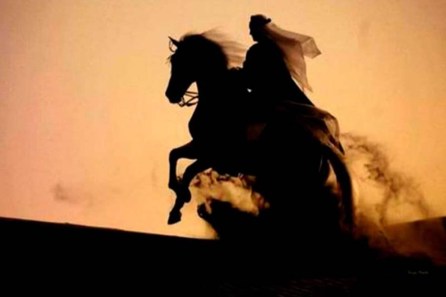 Horse Riding in Dubai