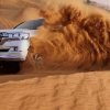 Private Desert Safari Tour in Dubai - Image 4