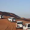 Private Desert Safari Tour in Dubai - Image 5