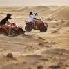 Evening Desert Safari - Image 4